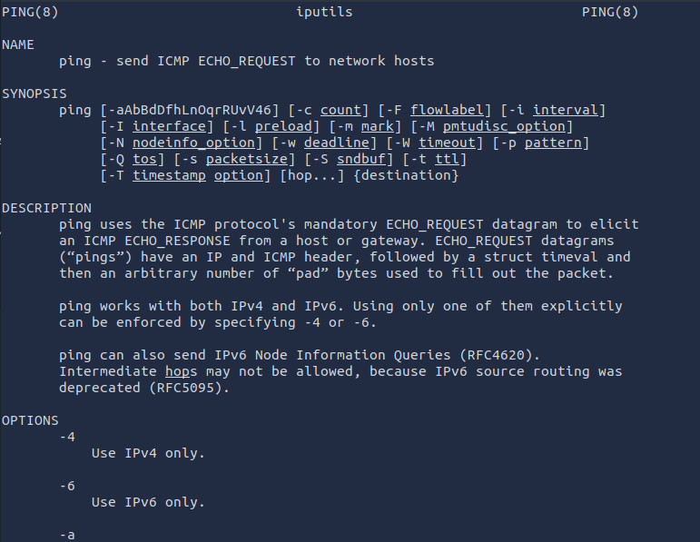 Manual page of ping