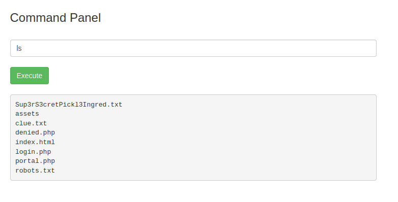 A simple ls command works in the command panel