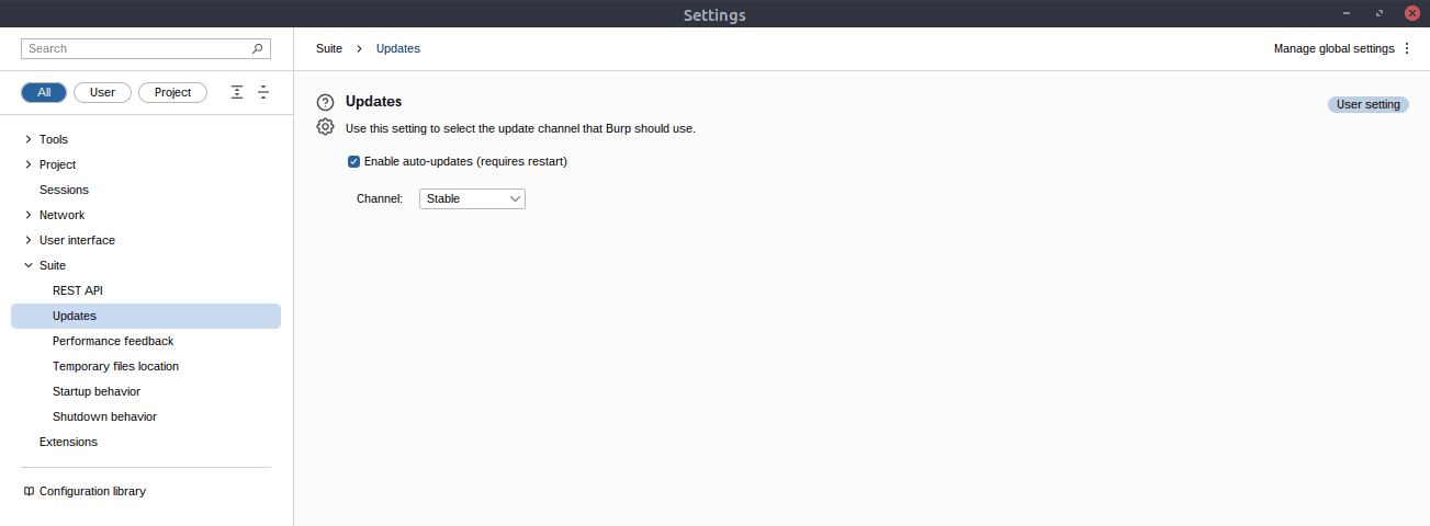 Burp Suite update behaviour