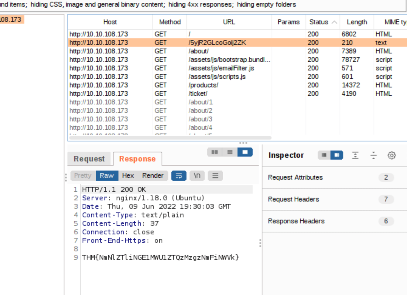 Finding the flag in the sitemap