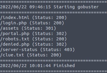 Gobuster finding files