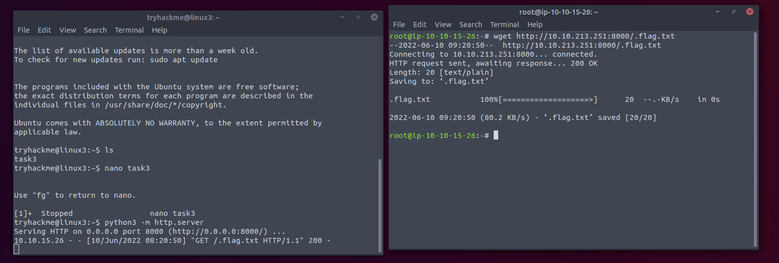 Serving and downloading the flag