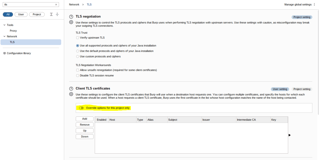 TLS Options Burp Suite