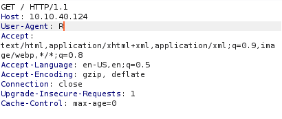 Editing user-agent request header