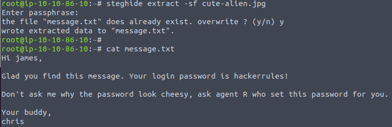 Finding the secret message with steghide