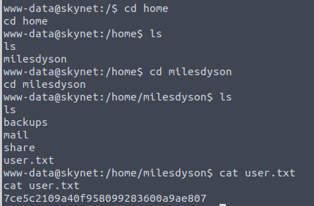 Finding the user flag