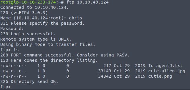 Logging into the FTP service