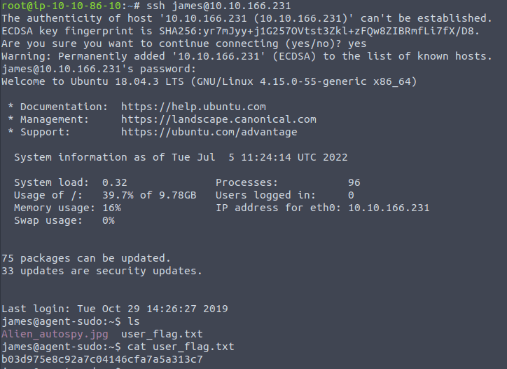 Logging into the SSH service as james