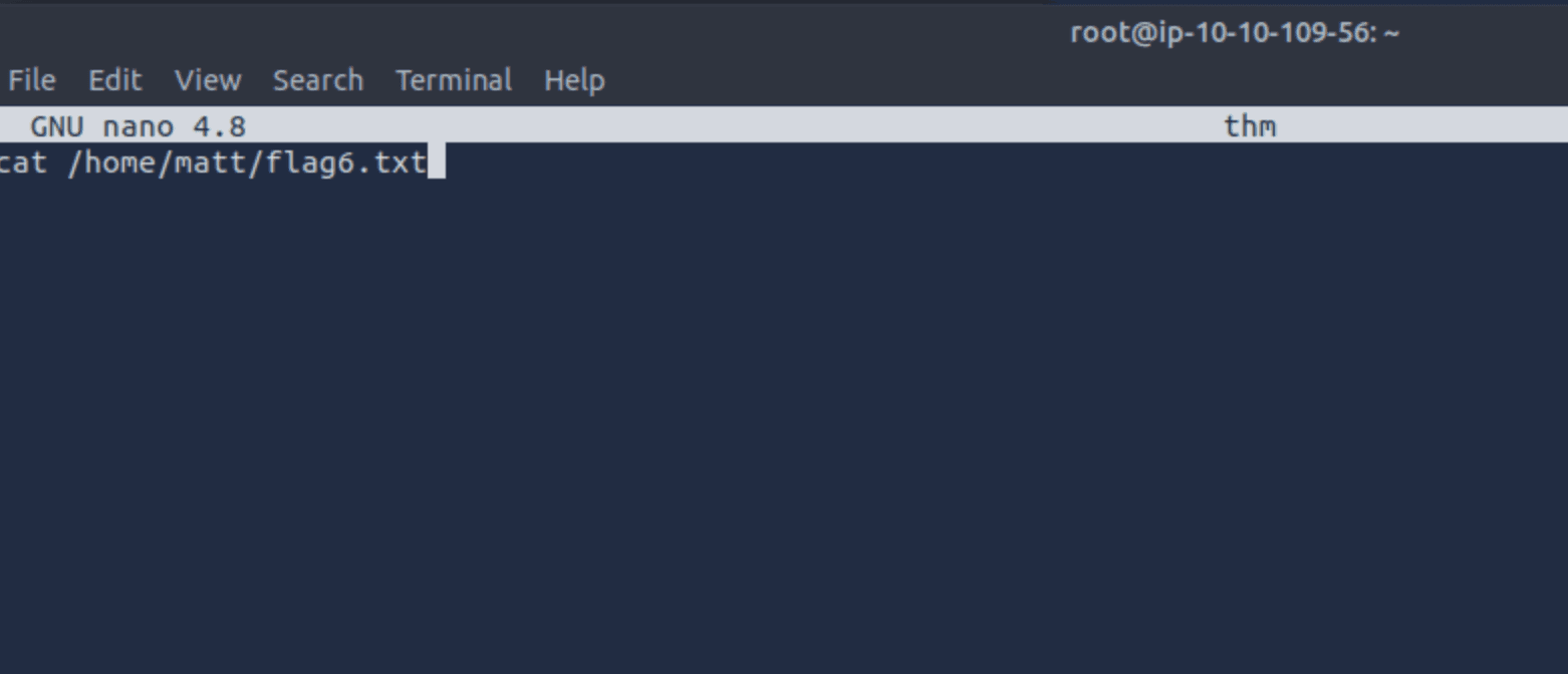Making the script reading the sixth flag