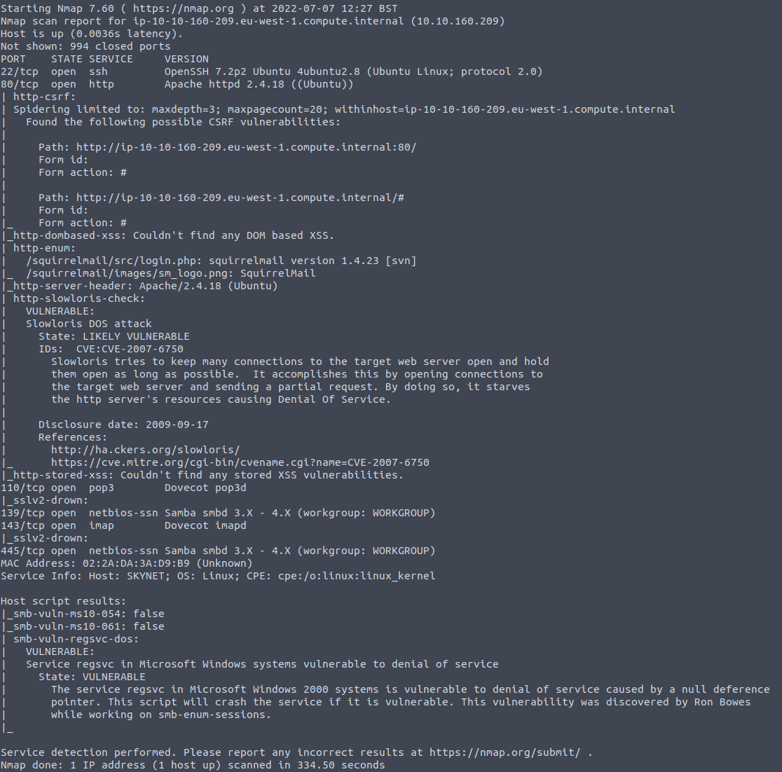 Port scanning the network