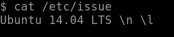 Reading /etc/issue