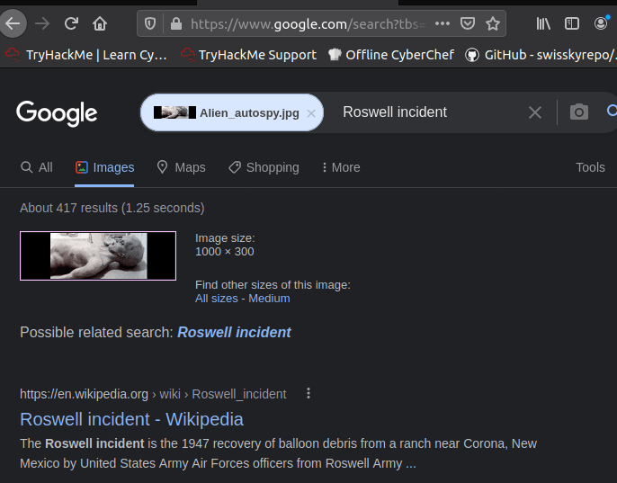 Reverse image searching