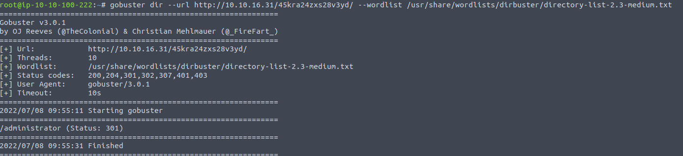 Using gobuster on the CMS