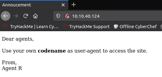 Visiting the webpage