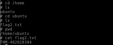 We found the second flag!