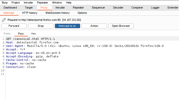Using Burp Suite to intercept requests